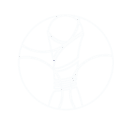 Copa da Coroa do Príncipe do Kuwait